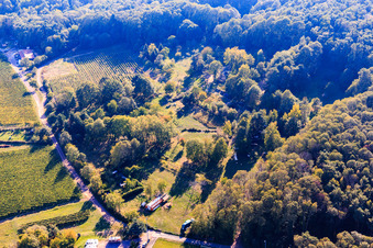 Vue aérienne de Jardin à l'orée de la forêt à Dörrenbach dans le département Rhénanie-Palatinat, Allemagne