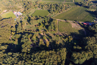 Photographie aérienne de Jardin à l'orée de la forêt à Dörrenbach dans le département Rhénanie-Palatinat, Allemagne