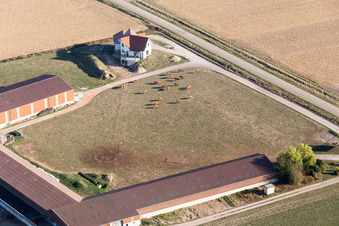 Image drone de Schleithal dans le département Bas Rhin, France