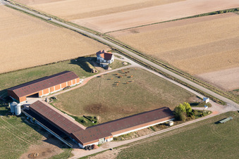 Schleithal dans le département Bas Rhin, France du point de vue du drone