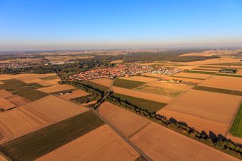 Photographie aérienne de Vue du village depuis le sud-ouest à Steinweiler dans le département Rhénanie-Palatinat, Allemagne