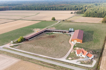 Schleithal dans le département Bas Rhin, France d'un drone