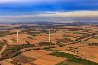 Vue oblique de Parc éolien EnBW - éolienne avec 6 éoliennes à Freckenfeld dans le département Rhénanie-Palatinat, Allemagne