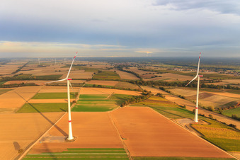 Vue d'oiseau de Parc éolien EnBW - éolienne avec 6 éoliennes à Freckenfeld dans le département Rhénanie-Palatinat, Allemagne