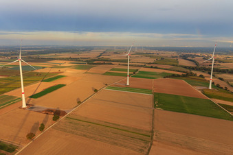 Enregistrement par drone de Parc éolien EnBW - éolienne avec 6 éoliennes à Freckenfeld dans le département Rhénanie-Palatinat, Allemagne