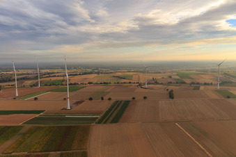 Parc éolien EnBW - éolienne avec 6 éoliennes à Freckenfeld dans le département Rhénanie-Palatinat, Allemagne du point de vue du drone