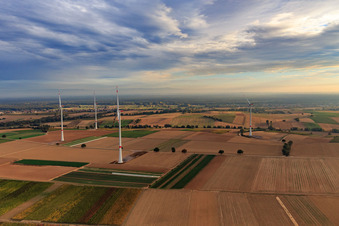 Parc éolien EnBW - éolienne avec 6 éoliennes à Freckenfeld dans le département Rhénanie-Palatinat, Allemagne vu d'un drone