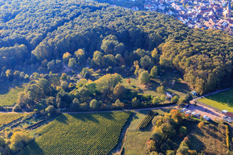 Vue oblique de Jardin à l'orée de la forêt à Dörrenbach dans le département Rhénanie-Palatinat, Allemagne
