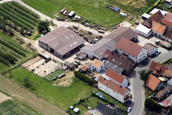 Vue oblique de Rue Wiesen à le quartier Mühlhofen in Billigheim-Ingenheim dans le département Rhénanie-Palatinat, Allemagne