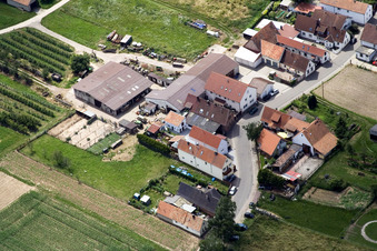 Rue Wiesen à le quartier Mühlhofen in Billigheim-Ingenheim dans le département Rhénanie-Palatinat, Allemagne d'en haut