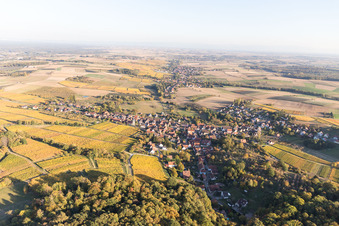 Photographie aérienne de Oberhoffen-lès-Wissembourg à Oberhoffen-lès-Wissembourg dans le département Bas Rhin, France
