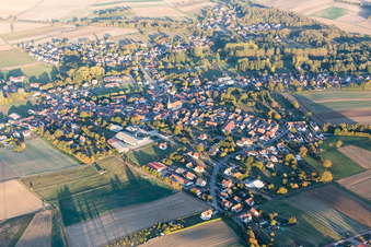 Photographie aérienne de Riedseltz dans le département Bas Rhin, France