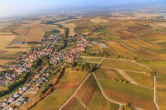 Photographie aérienne de Vue du village depuis l'est à Dierbach dans le département Rhénanie-Palatinat, Allemagne