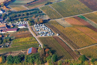 Place de parking pour camping-car Geiger Dierbach à Dierbach dans le département Rhénanie-Palatinat, Allemagne vue du ciel