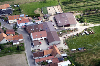 Rue Wiesen à le quartier Mühlhofen in Billigheim-Ingenheim dans le département Rhénanie-Palatinat, Allemagne vue du ciel