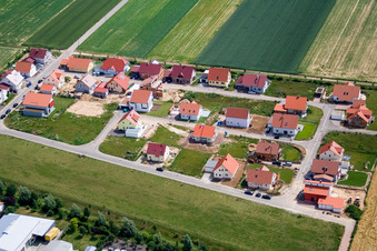 Sentier de l'érable à Steinweiler dans le département Rhénanie-Palatinat, Allemagne hors des airs