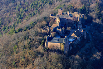 Vue aérienne de Ruines du château de Madenburg : vestiges d'un château du XIe siècle au sommet d'une colline entouré de forêts avec un restaurant à Eschbach dans le département Rhénanie-Palatinat, Allemagne