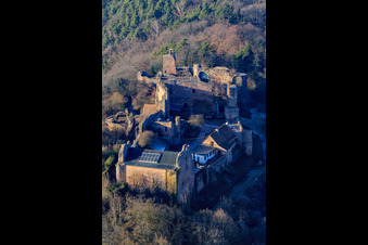 Vue aérienne de Ruines du château de Madenburg : vestiges d'un château du XIe siècle au sommet d'une colline entouré de forêts avec un restaurant à Eschbach dans le département Rhénanie-Palatinat, Allemagne