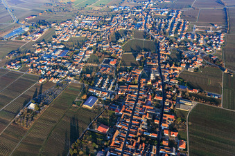 Vue aérienne de Vue de la ville entre les vignes en hiver depuis l'ouest à Edesheim dans le département Rhénanie-Palatinat, Allemagne