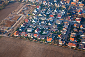 Vue aérienne de Nouvelle zone de développement Siedlerweg à Steinweiler dans le département Rhénanie-Palatinat, Allemagne
