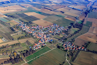 Photographie aérienne de Vue du village en hiver depuis le sud-ouest à Steinfeld dans le département Rhénanie-Palatinat, Allemagne