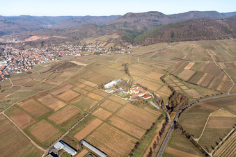 Vue aérienne de Institut Julius Kühn à Siebeldingen dans le département Rhénanie-Palatinat, Allemagne