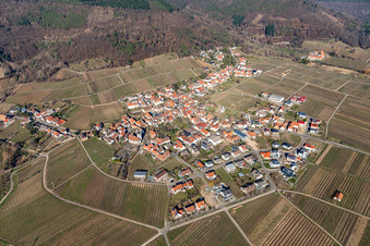 Vue aérienne de Vue d'un village viticole depuis le sud-ouest en hiver, sans neige. à Weyher in der Pfalz dans le département Rhénanie-Palatinat, Allemagne