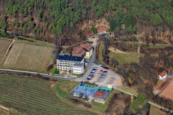 Vue aérienne de Hôtel Arens à 327 m d'altitude (Maison sur le Vignoble) à le quartier SaintMartin in Sankt Martin dans le département Rhénanie-Palatinat, Allemagne