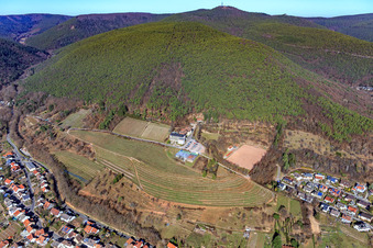 Vue aérienne de Hôtel Arens à 327 m d'altitude (Maison sur le Vignoble) à le quartier SaintMartin in Sankt Martin dans le département Rhénanie-Palatinat, Allemagne