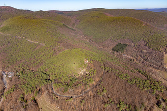 Vue aérienne de Chapelle de Wetterkreuzberg à Maikammer dans le département Rhénanie-Palatinat, Allemagne