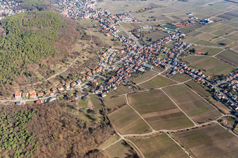 Vue aérienne de Vue d'un village viticole depuis le sud en hiver, sans neige. à le quartier Hambach an der Weinstraße in Neustadt an der Weinstraße dans le département Rhénanie-Palatinat, Allemagne