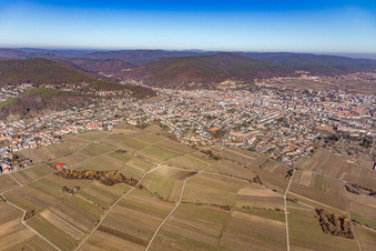Vue aérienne de Vue de la ville depuis le sud à Neustadt an der Weinstraße dans le département Rhénanie-Palatinat, Allemagne