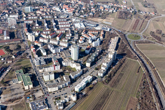 Vue aérienne de Centre-ville de Winzingen Nord dans la zone urbaine à Neustadt an der Weinstraße dans le département Rhénanie-Palatinat, Allemagne