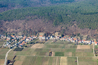 Vue aérienne de Anneau d'amande à le quartier Haardt in Neustadt an der Weinstraße dans le département Rhénanie-Palatinat, Allemagne