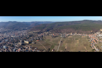 Vue aérienne de Perspective panoramique du paysage viticole à le quartier Haardt in Neustadt an der Weinstraße dans le département Rhénanie-Palatinat, Allemagne