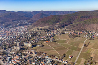 Vue aérienne de Chemin du vignoble depuis le nord-ouest à Neustadt an der Weinstraße dans le département Rhénanie-Palatinat, Allemagne