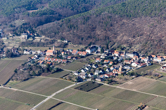 Vue aérienne de Cimetière à le quartier Haardt in Neustadt an der Weinstraße dans le département Rhénanie-Palatinat, Allemagne