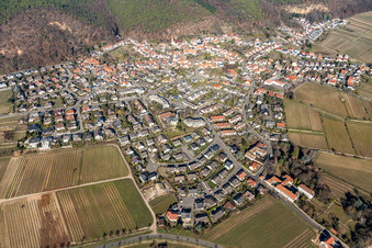 Vue aérienne de Aperçu des villages viticoles du sud-ouest en hiver sans neige à le quartier Königsbach in Neustadt an der Weinstraße dans le département Rhénanie-Palatinat, Allemagne