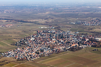 Vue aérienne de Quartier et environs à Deidesheim dans le département Rhénanie-Palatinat, Allemagne