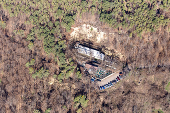 Vue aérienne de Restaurant forestier Pfalzblick à Ruppertsberg dans le département Rhénanie-Palatinat, Allemagne