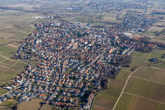 Vue aérienne de Quartier et environs à Deidesheim dans le département Rhénanie-Palatinat, Allemagne