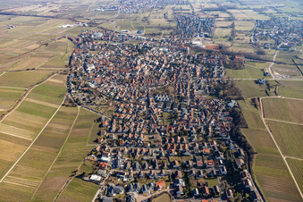 Vue aérienne de Vue de la ville depuis l'ouest en hiver sans neige à Deidesheim dans le département Rhénanie-Palatinat, Allemagne