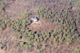 Vue aérienne de Chapelle Saint-Michel à Deidesheim dans le département Rhénanie-Palatinat, Allemagne