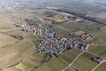 Vue aérienne de Vignobles à Forst an der Weinstraße dans le département Rhénanie-Palatinat, Allemagne