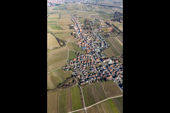 Vue aérienne de Du sud à Forst an der Weinstraße dans le département Rhénanie-Palatinat, Allemagne
