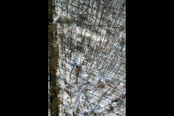 Vue aérienne de Bienwald en hiver avec de la neige à le quartier Büchelberg in Wörth am Rhein dans le département Rhénanie-Palatinat, Allemagne