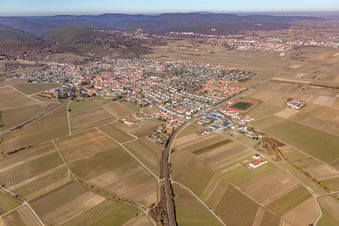 Vue aérienne de Vue d'un village viticole depuis le sud-est en hiver, sans neige. à Wachenheim an der Weinstraße dans le département Rhénanie-Palatinat, Allemagne