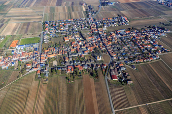 Vue aérienne de Vue du village en hiver depuis le sud à Friedelsheim dans le département Rhénanie-Palatinat, Allemagne
