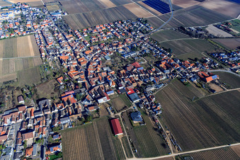Vue aérienne de Vue du village en hiver depuis le sud-ouest à Gönnheim dans le département Rhénanie-Palatinat, Allemagne