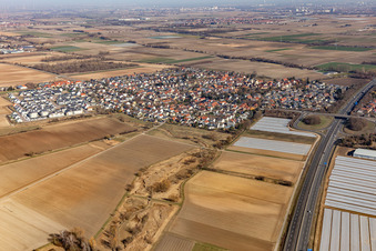 Vue aérienne de Du sud-ouest à le quartier Schauernheim in Dannstadt-Schauernheim dans le département Rhénanie-Palatinat, Allemagne